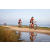 Team 31 / Raid Amazones Sri Lanka 2022 - J5 VTT