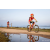 Team 76 / Raid Amazones Sri Lanka 2022 - J5 VTT