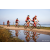 Team 69 / Raid Amazones Sri Lanka 2022 - J5 VTT