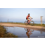 Team 33 / Raid Amazones Sri Lanka 2022 - J5 VTT