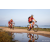 Team 74 / Raid Amazones Sri Lanka 2022 - J5 VTT