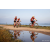 Team 23 / Raid Amazones Sri Lanka 2022 - J5 VTT