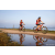 Team 86 / Raid Amazones Sri Lanka 2022 - J5 VTT