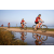Team 17 / Raid Amazones Sri Lanka 2022 - J5 VTT