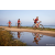 Team 55 / Raid Amazones Sri Lanka 2022 - J5 VTT