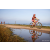 Team 63 / Raid Amazones Sri Lanka 2022 - J5 VTT
