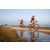 Team 18 / Raid Amazones Sri Lanka 2022 - J5 VTT