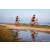 Team 101 / Raid Amazones Sri Lanka 2022 - J5 VTT