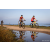 Team 328 / Raid Amazones Sri Lanka 2022 - J5 VTT