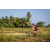 Team 27 / Raid Amazones Sri Lanka 2022 - J5 VTT