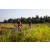 Team 47 / Raid Amazones Sri Lanka 2022 - J5 VTT