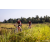 Raid Amazones Sri Lanka 2022 - J5 VTT