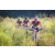Team 304 / Raid Amazones Sri Lanka 2022 - J5 VTT