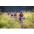 Team 321 / Raid Amazones Sri Lanka 2022 - J5 VTT