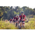 Team 73 / Raid Amazones Sri Lanka 2022 - J5 VTT