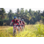Team 97 / Raid Amazones Sri Lanka 2022 - J5 VTT