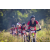 Team 306 / Raid Amazones Sri Lanka 2022 - J5 VTT
