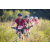Team 20 / Raid Amazones Sri Lanka 2022 - J5 VTT