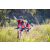 Team 312 / Raid Amazones Sri Lanka 2022 - J5 VTT