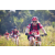 Team 14 / Raid Amazones Sri Lanka 2022 - J5 VTT