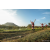 Team 314 / Raid Amazones Sri Lanka 2022 - J6 Trail