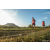 Team 25 / Raid Amazones Sri Lanka 2022 - J6 Trail