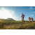 Team 315 / Raid Amazones Sri Lanka 2022 - J6 Trail