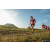 Team 41 / Raid Amazones Sri Lanka 2022 - J6 Trail