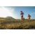 Team 38 / Raid Amazones Sri Lanka 2022 - J6 Trail