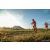 Team 306 / Raid Amazones Sri Lanka 2022 - J6 Trail