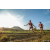 Team 32 / Raid Amazones Sri Lanka 2022 - J6 Trail