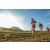 Team 06 / Raid Amazones Sri Lanka 2022 - J6 Trail