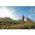 Team 313 / Raid Amazones Sri Lanka 2022 - J6 Trail
