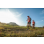 Team 33 / Raid Amazones Sri Lanka 2022 - J6 Trail