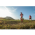 Team 69 / Raid Amazones Sri Lanka 2022 - J6 Trail