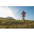 Team 14 / Raid Amazones Sri Lanka 2022 - J6 Trail