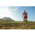 Team 13 / Raid Amazones Sri Lanka 2022 - J6 Trail