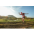 Team 328 / Raid Amazones Sri Lanka 2022 - J6 Trail