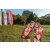 Team 44 / Raid Amazones Sri Lanka 2022 - J6 Trail