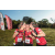 Team 320 / Raid Amazones Sri Lanka 2022 - J6 Trail