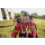 Team 304 / Raid Amazones Sri Lanka 2022 - J6 Trail