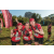 Team 326 / Raid Amazones Sri Lanka 2022 - J6 Trail