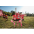 Team 303 / Raid Amazones Sri Lanka 2022 - J6 Trail