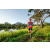 Team 331 / Raid Amazones Sri Lanka 2022 - J6 Trail