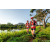 Team 331 / Raid Amazones Sri Lanka 2022 - J6 Trail