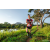Team 27 / Raid Amazones Sri Lanka 2022 - J6 Trail