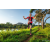 Team 320 / Raid Amazones Sri Lanka 2022 - J6 Trail