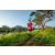 Team 47 / Raid Amazones Sri Lanka 2022 - J6 Trail
