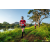 Team 02 / Raid Amazones Sri Lanka 2022 - J6 Trail