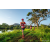 Team 38 / Raid Amazones Sri Lanka 2022 - J6 Trail